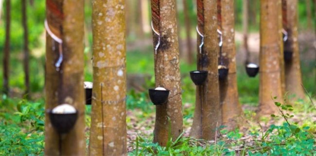 91431F0D-A96B-4DDA-8DB3-F903EF27BD2F