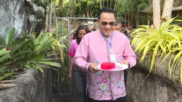 สวนสัตว์สงขลา ส่ง”ไอติมหวานเย็น”ให้ “เจ้าจ้อน-น้องแป๊บซี่” ลิงแชมแปนซีผัวเมีย ฉลองวันวาเลนไทน์ – เปิดแคมเปญชวนคู่รักชมสัตว์ แจกของที่ระลึก