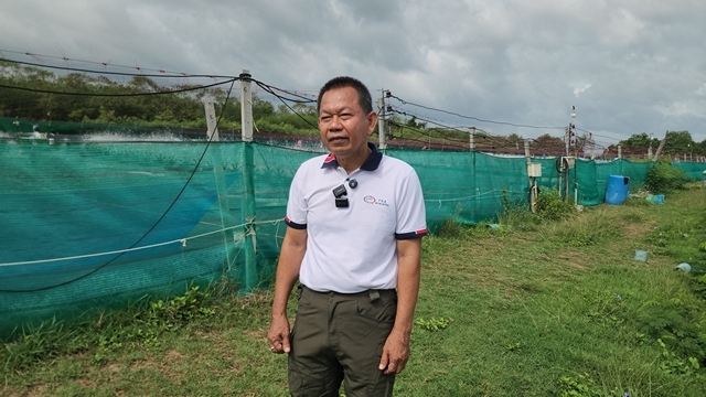 สงขลา-เกษตรกรเลี้ยงกุ้ง เดือด แฉไอ้โม่ง กินส่วนต่าง หลังมาเลเซีย งดนำเข้า ทำกุ้งราคาตกต่ำ ห้องเย็นกว้านซื้อราคาถูก