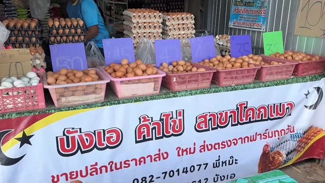สงขลา-ร้านค้าส่งไข่ไก่รายใหญ่โคกเมา-หาดใหญ่ ประกาศตรึงราคาเดิม 3 วัน ช่วยลดภาระค่าครองชีพ ย้ำชัด “ต้นทุนยังไม่มา ก็ยังไม่ขึ้น”