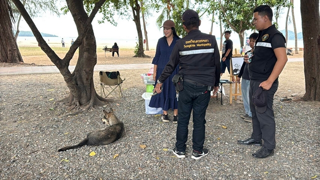 สงขลา-ผวาซ้ำ ชายถือมีดทำท่าจะฟัน “เจ้าแฟรงค์” หมาพิการ 3 ขา หาดสมิหลา