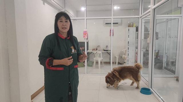 สงขลา-ช่วยชีวิต “น้องโพลี” ไซบีเรียนถูกปล่อยทิ้งในบ้านนาน 3 เดือน ‘เดอะโฮปสงขลา’ รุดเข้าช่วย ประกาศหาบ้านใหม่