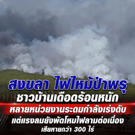 สงขลา-ไฟไหม้ป่าพรุ ชาวบ้านเดือดร้อนหนัก หลายหน่วยงานระดมกำลังเร่งดับ แต่แรงลมยังพัดโหมไฟลามต่อเนื่อง เสียหายกว่า 300 ไร่